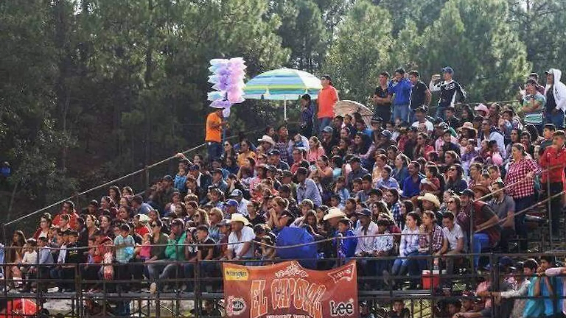 fiestas guadalupe y calvo